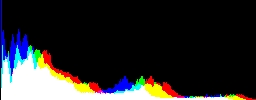 Histogram